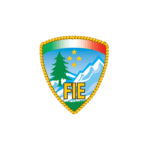 FIE