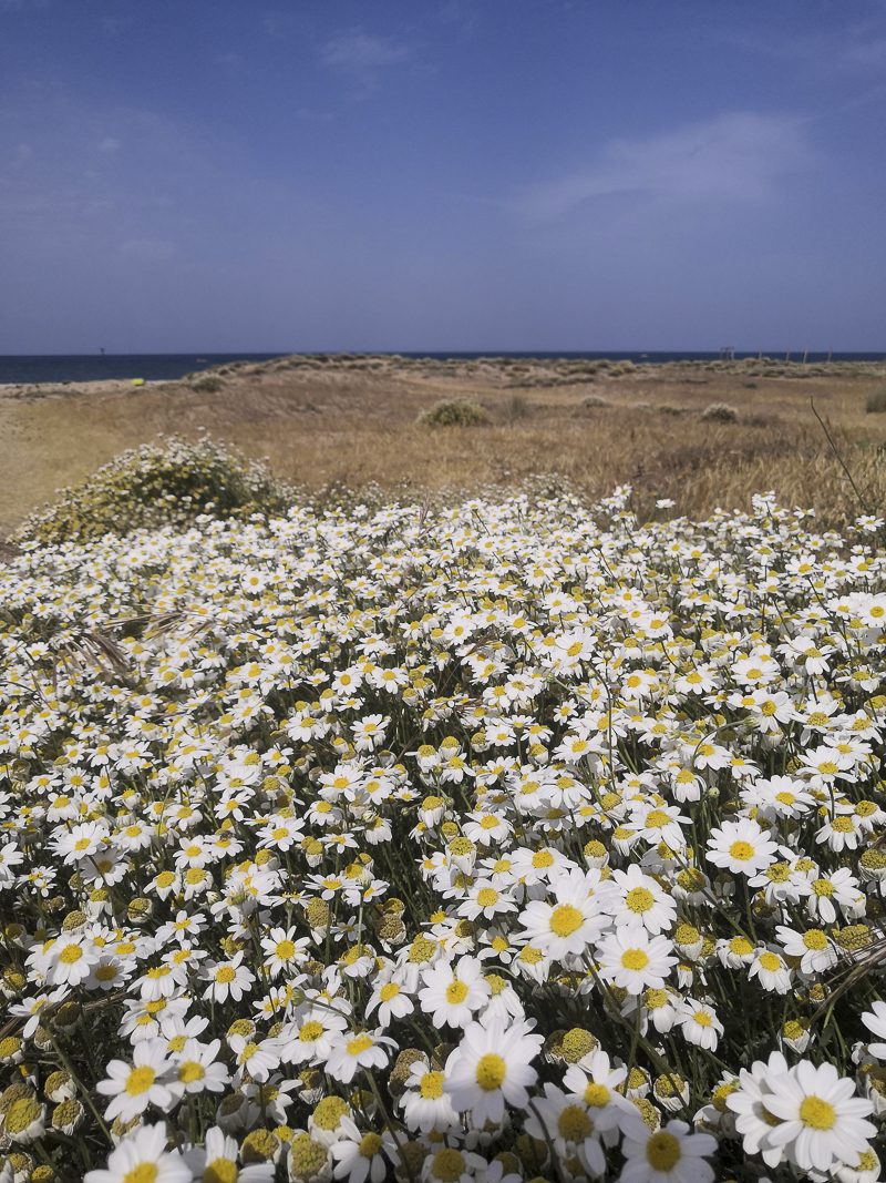 ciclabile ortona vasto-9