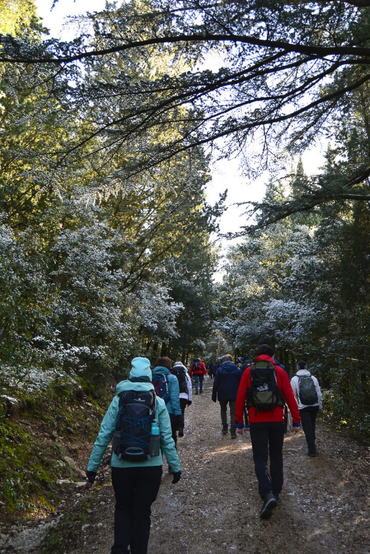 monte tezio neve-5