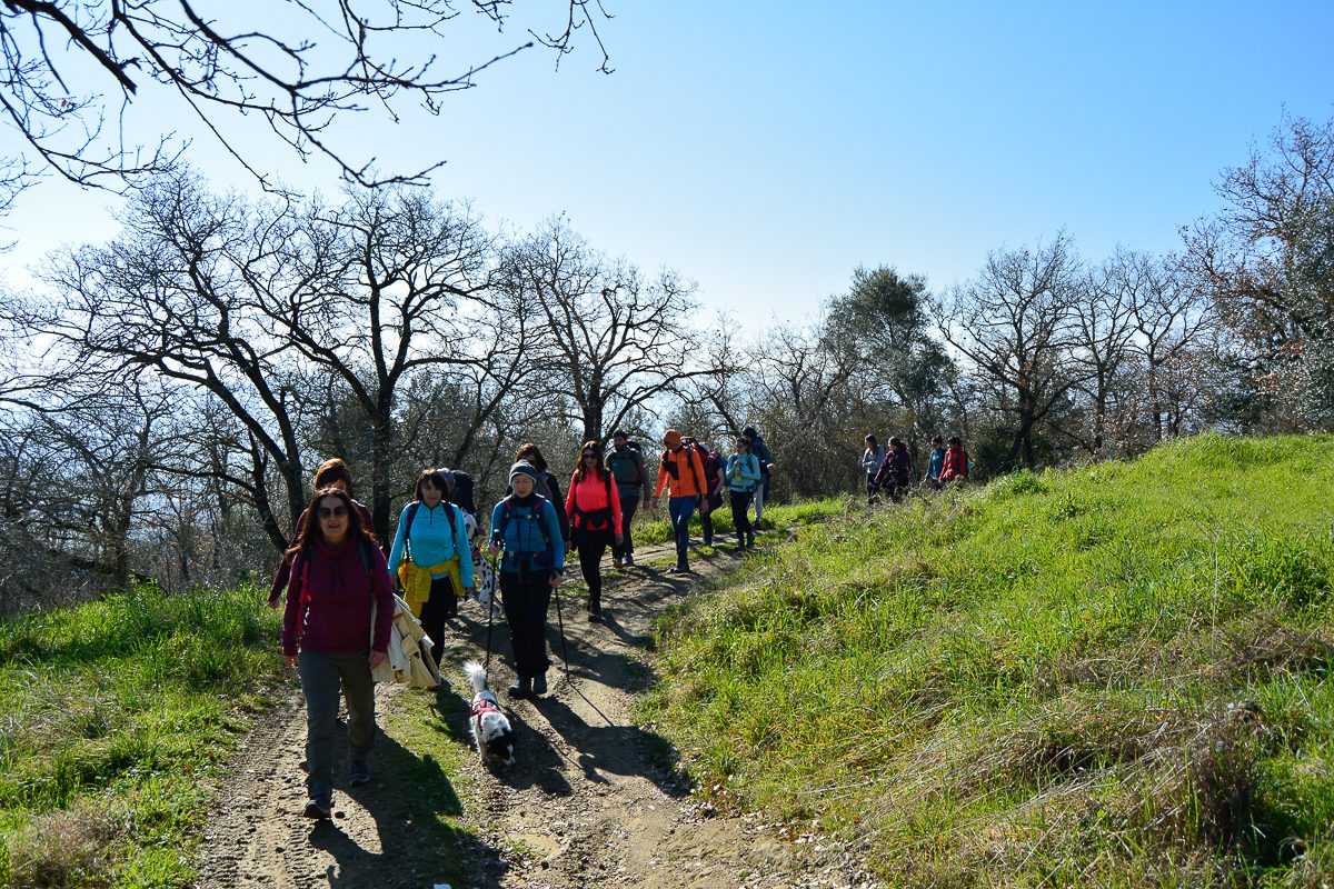 fontignano e monte solare-2