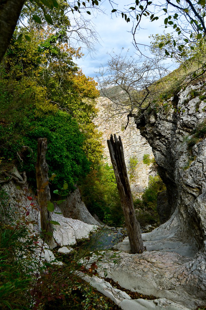 _DSC0633