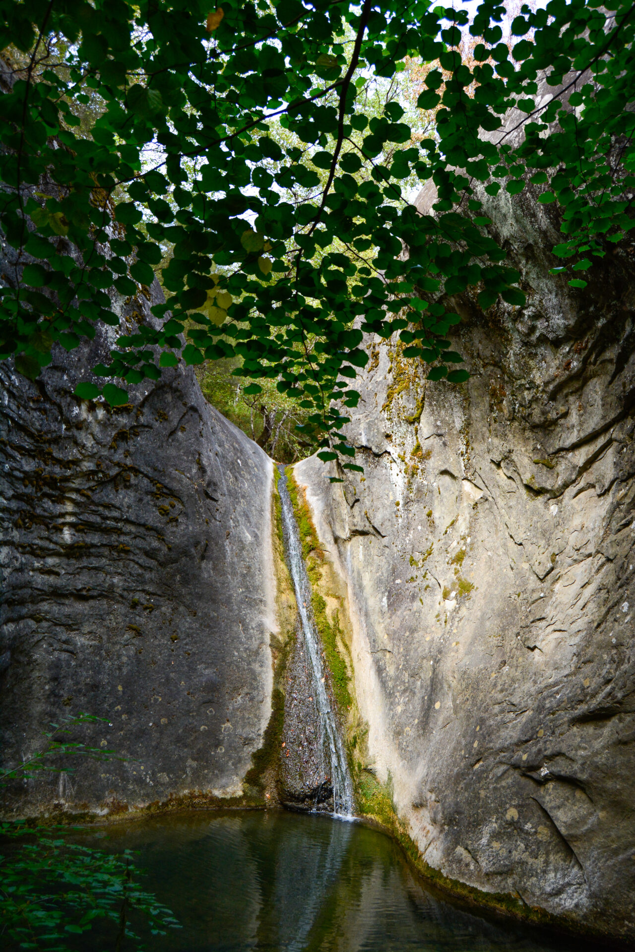 _DSC0656