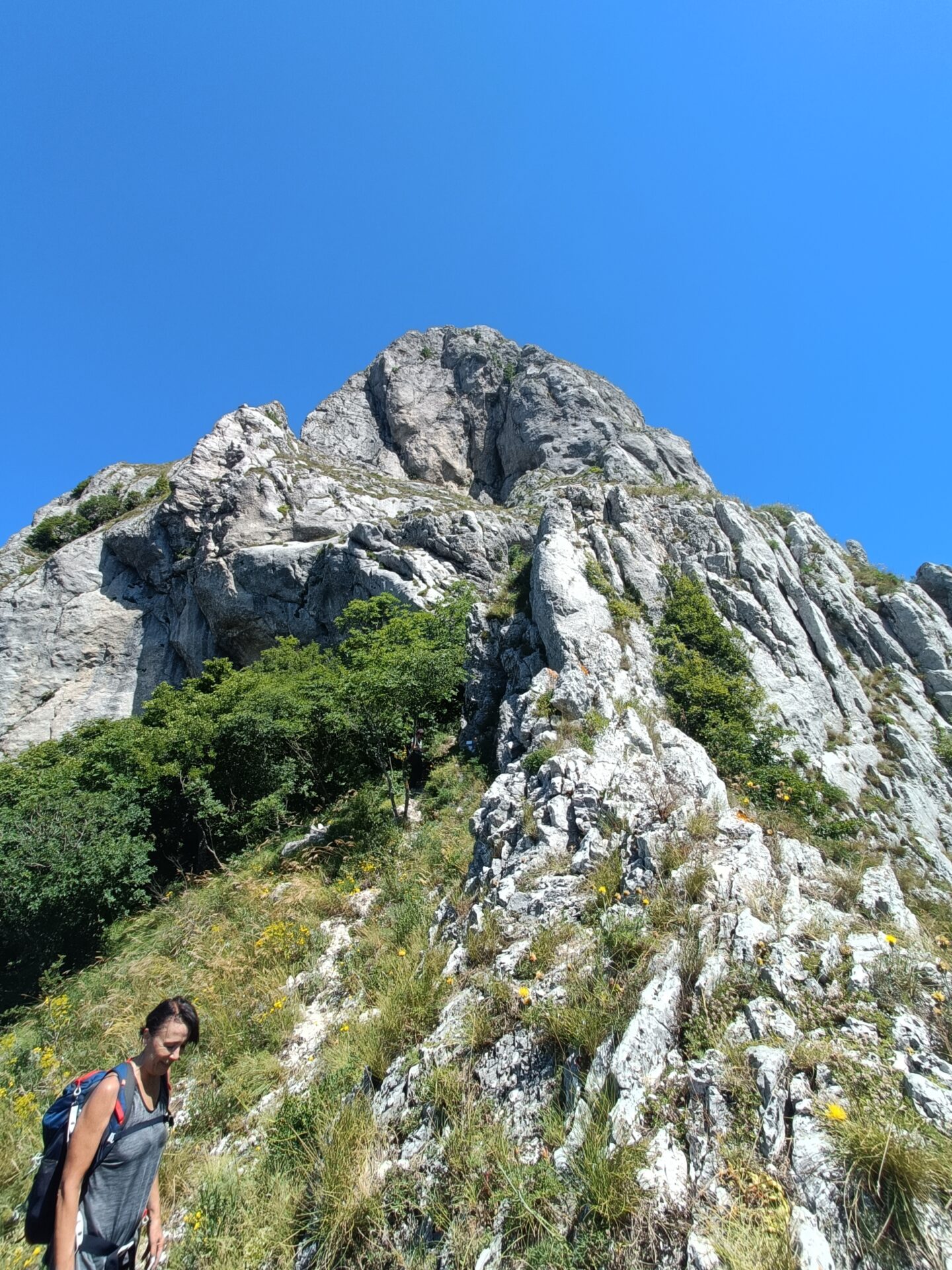 IMG20230709113350