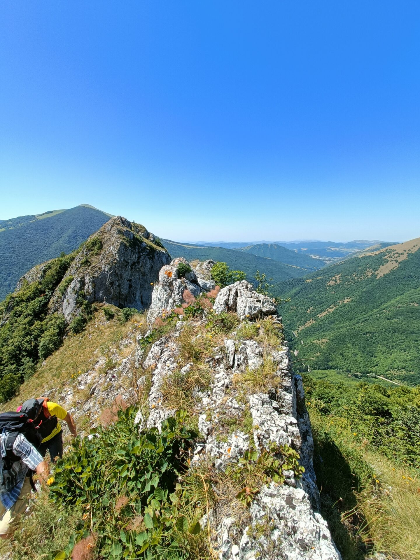 IMG20230709113353