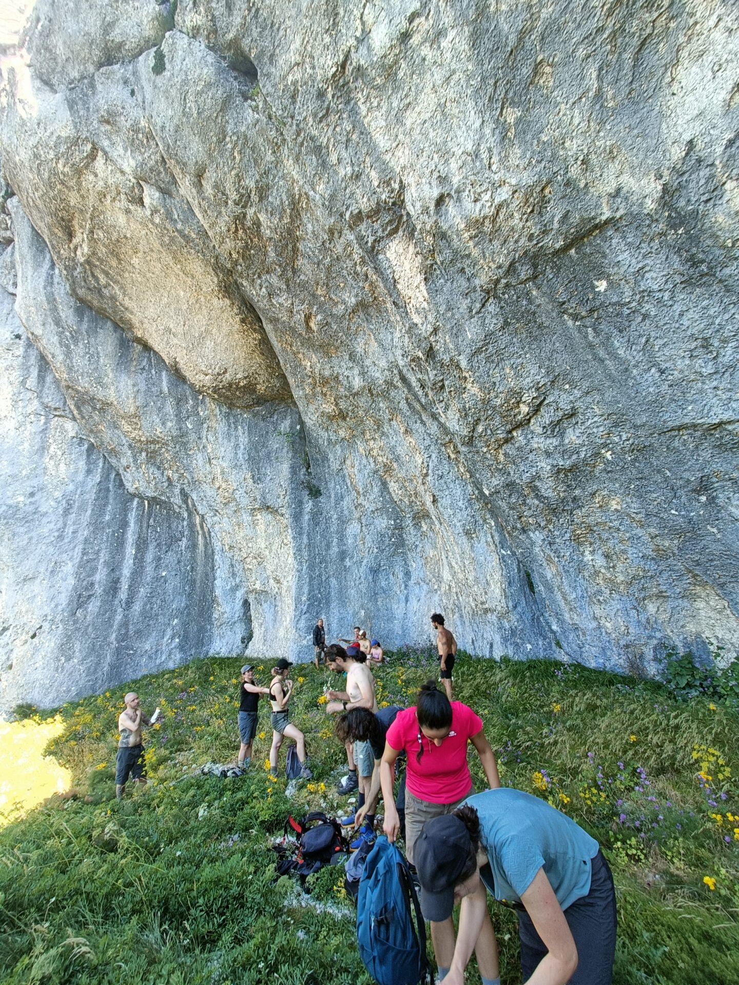 IMG20230709113736