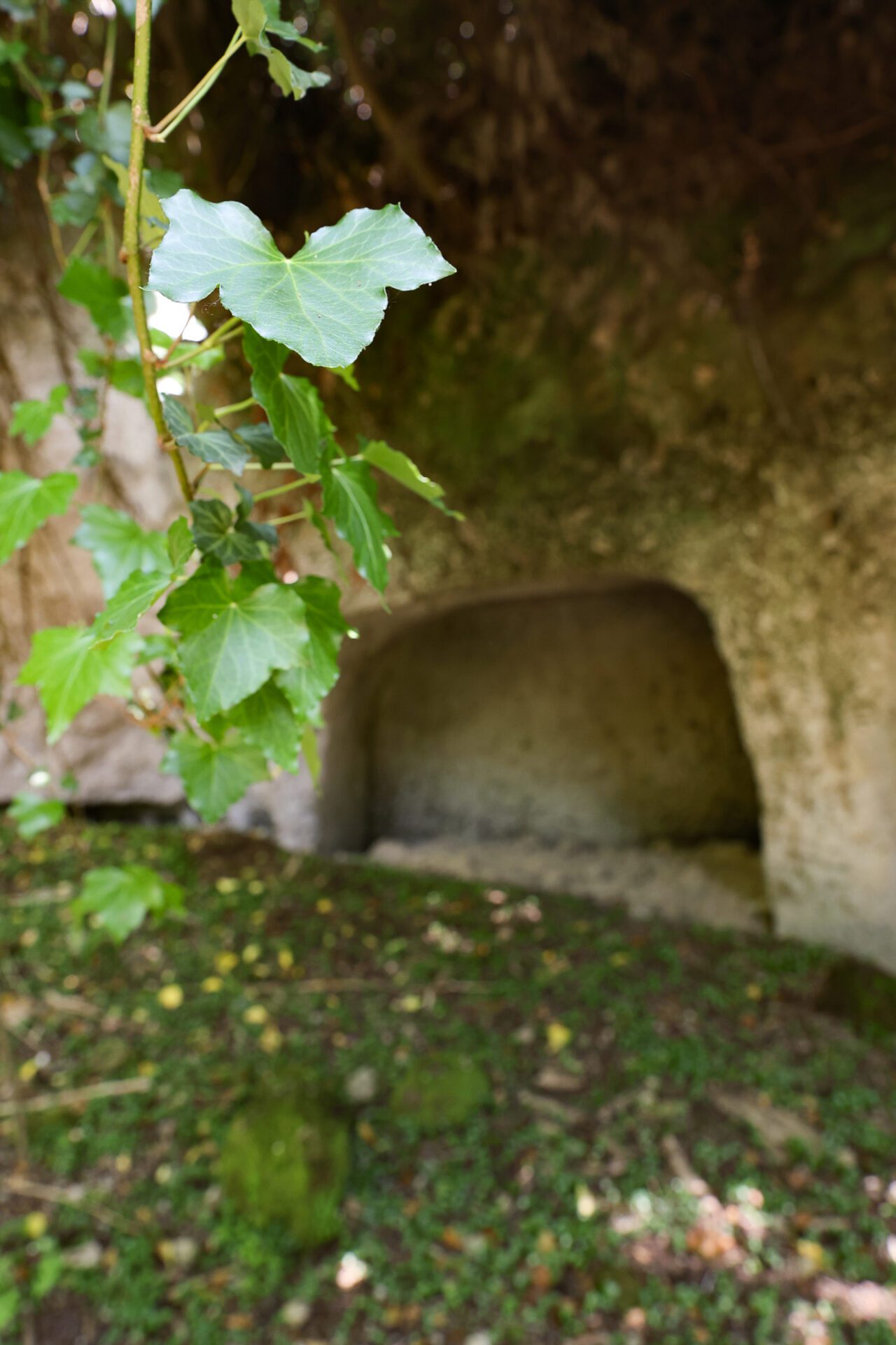 Escursioni Vie Cave Pitigliano-102