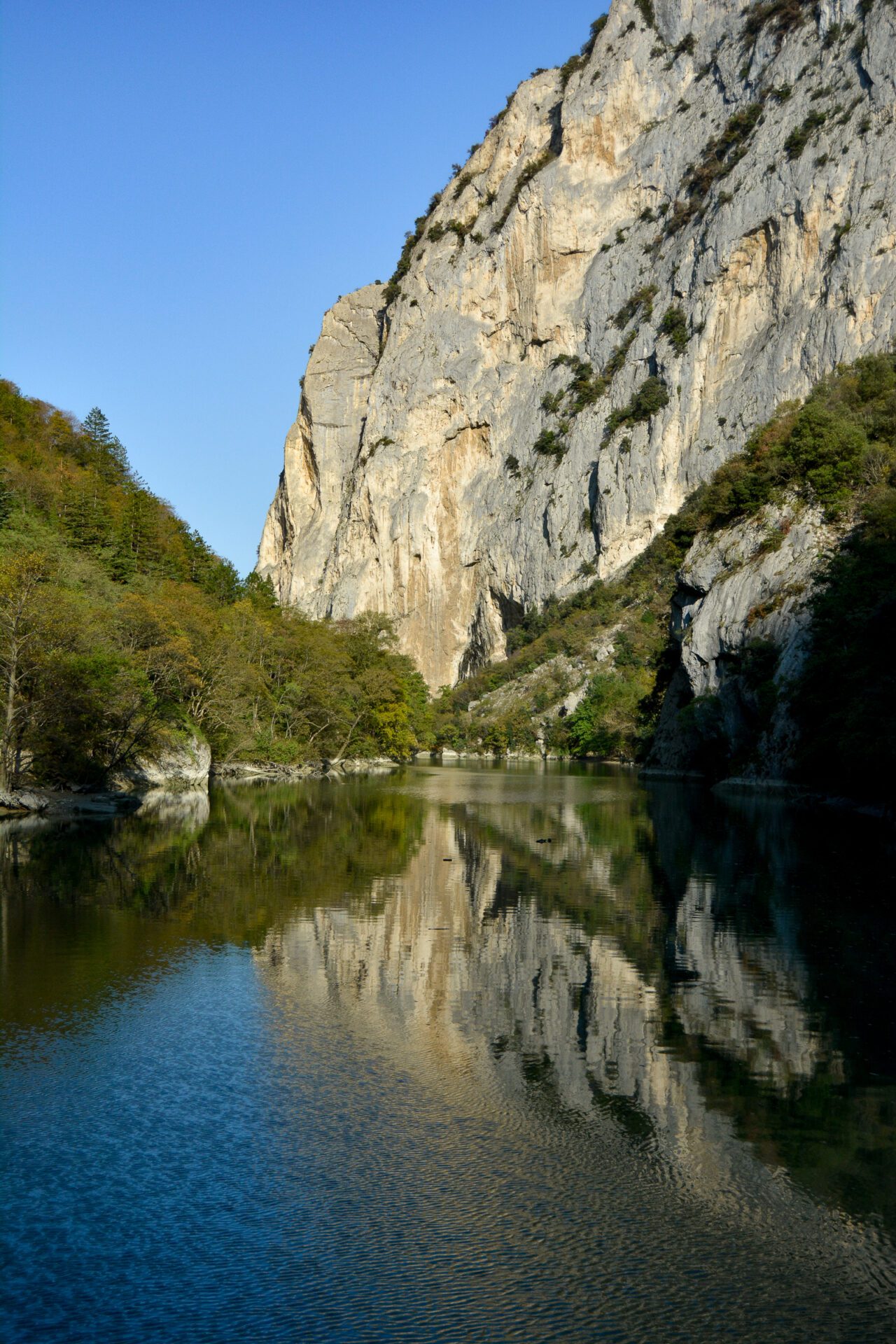 _DSC0610