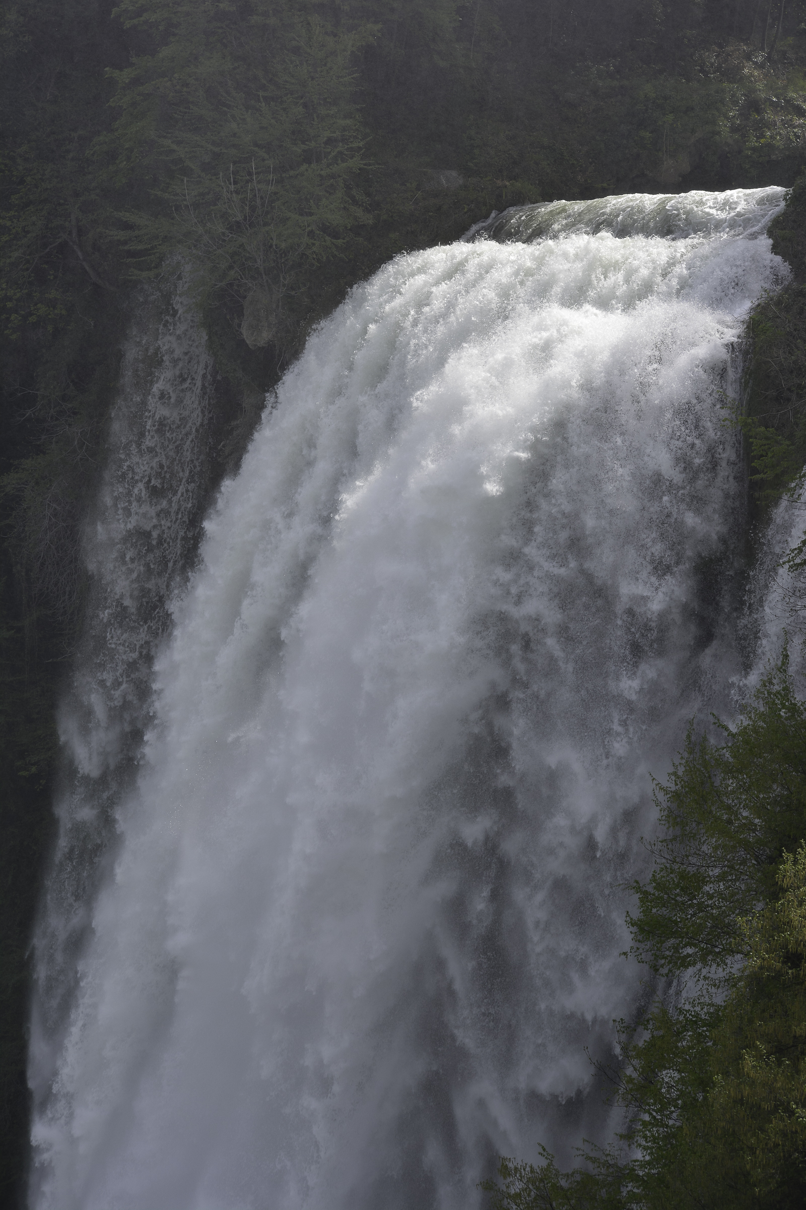 _DSC0024