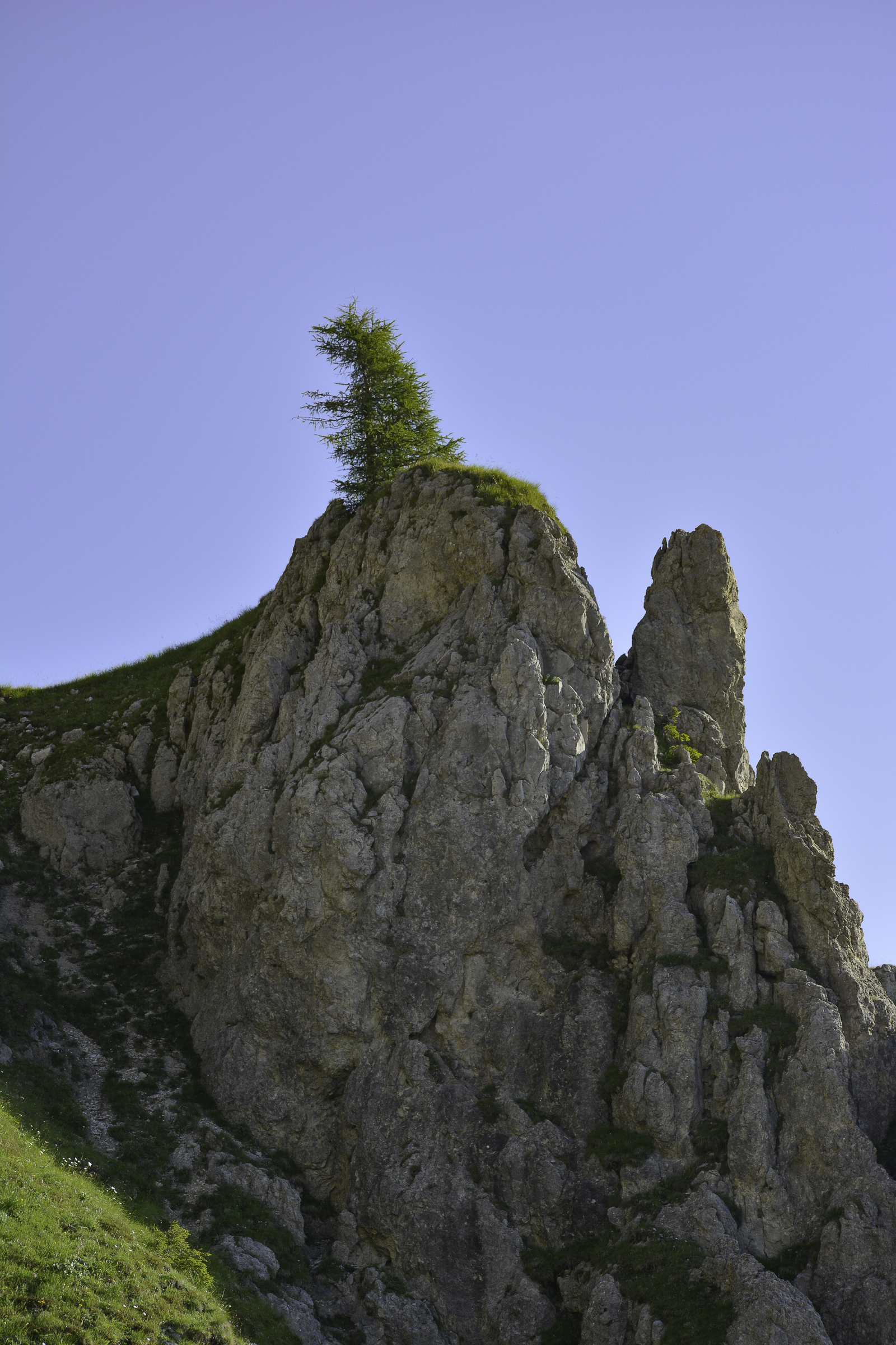 _DSC0080