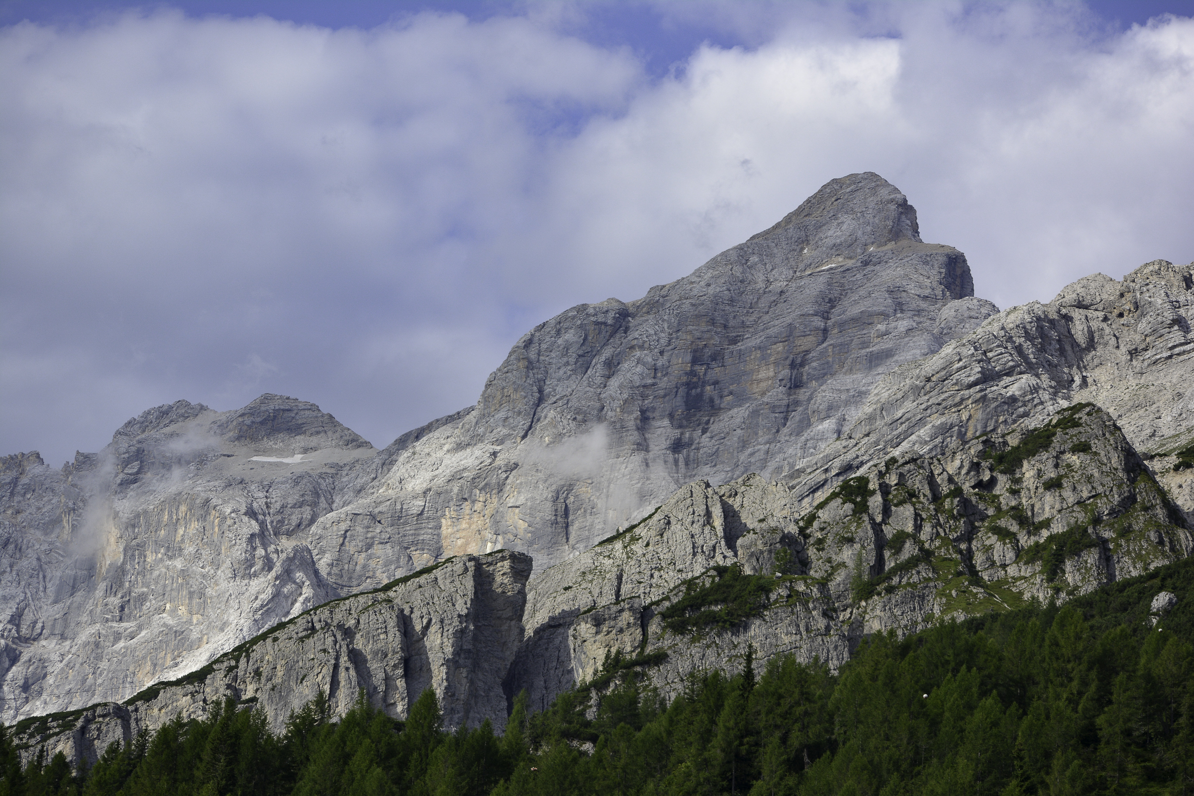 _DSC0089