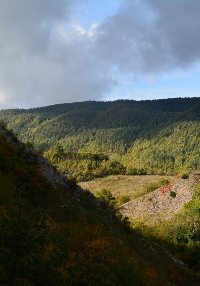 La cresta del Cardamagna