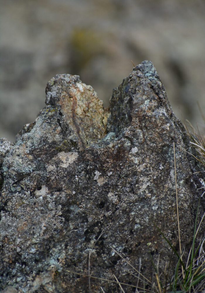 Le pietre dei serpenti dei Monti Rognosi