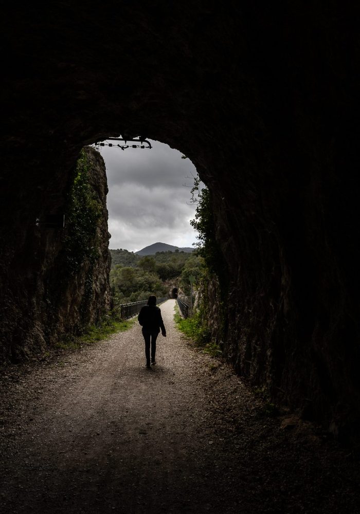 Alla scoperta delle erbe spontanee lungo l’ex ferrovia Spoleto-Norcia