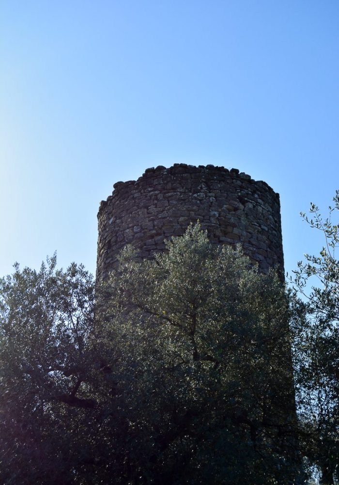 Da Fontignano al Monte Solare